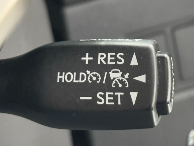 レクサス NX300h Fスポーツ