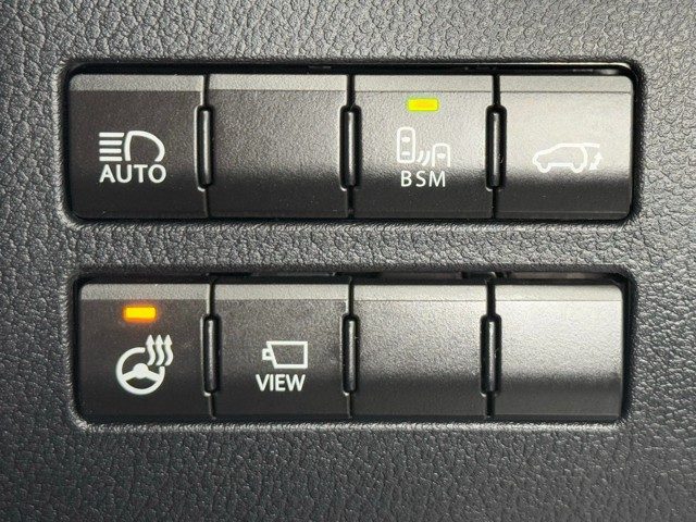 レクサス NX300 Spice&Chic