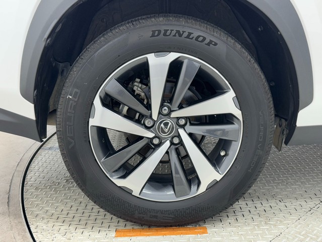 レクサス NX300h I-PKG