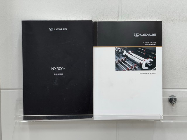 レクサス NX300h I-PKG
