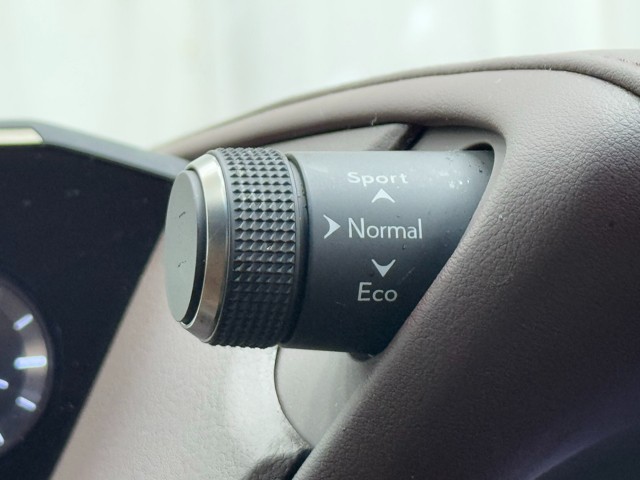 レクサス ES300h VER-L