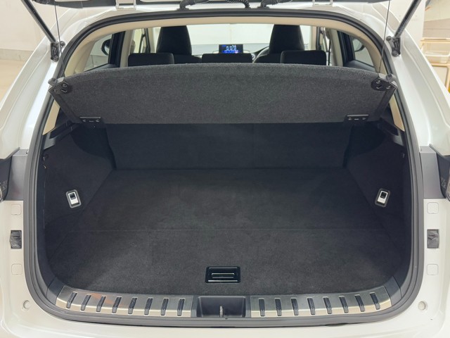 レクサス NX300h