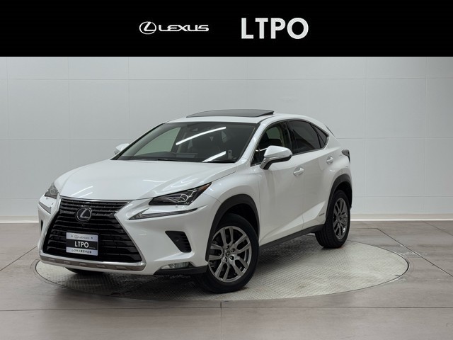NX300h VER-L