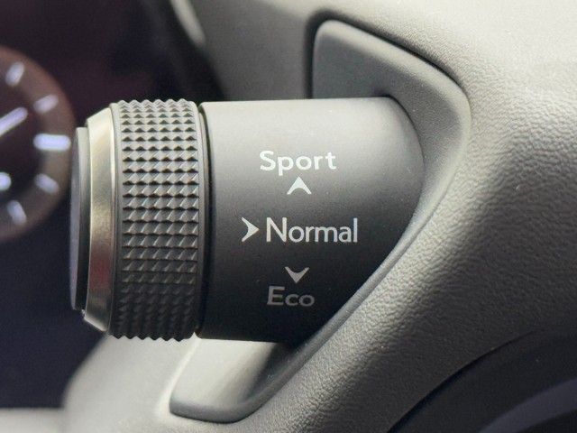 レクサス UX250h F SPORT