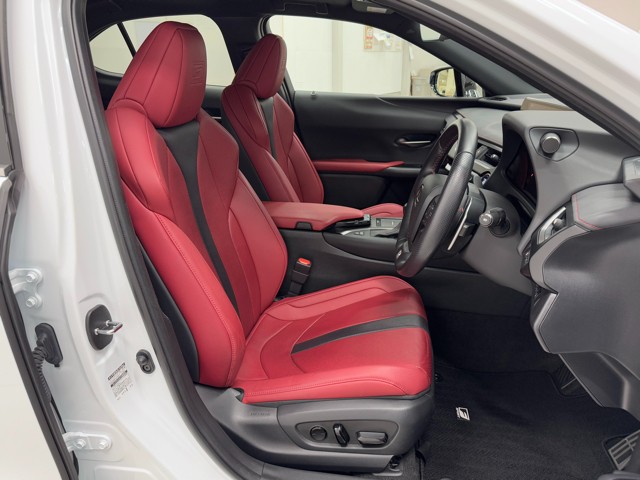 レクサス UX250h F SPORT