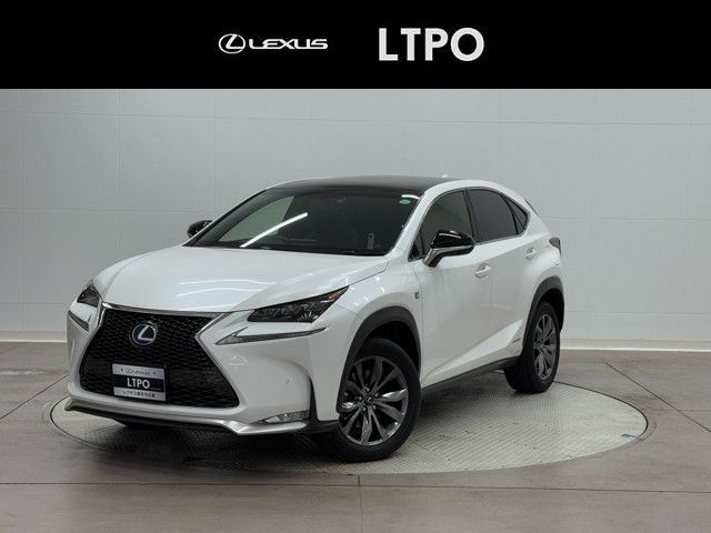 NX300h Fスポーツ