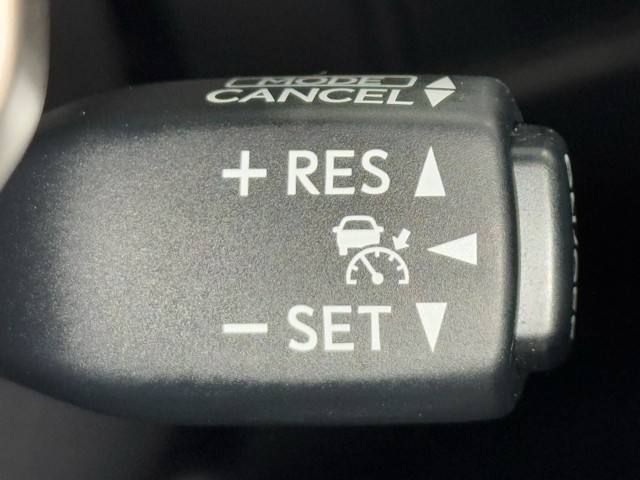 レクサス NX300h I-PKG