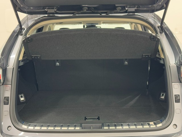 レクサス NX300h I-PKG