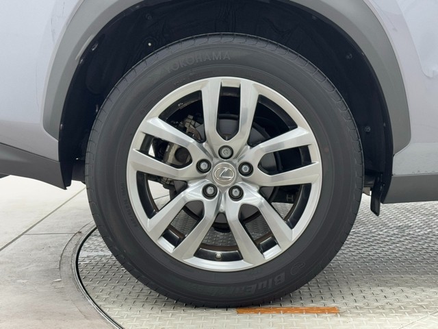 レクサス NX300h I-PKG