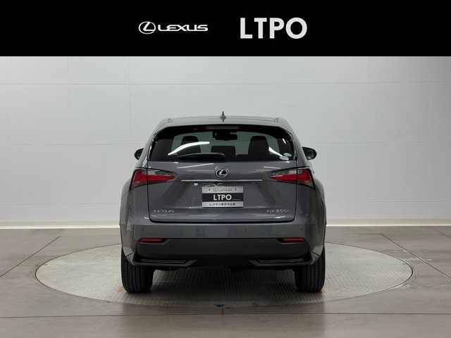 レクサス NX300h I-PKG