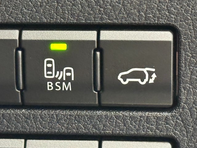 レクサス NX300h VER-L