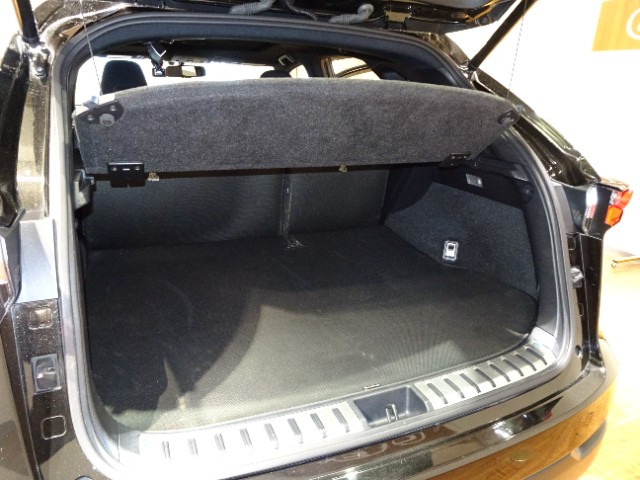 レクサス NX300h F SPORT