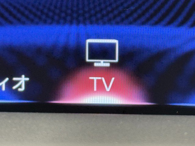 レクサス RX300 F SPORT