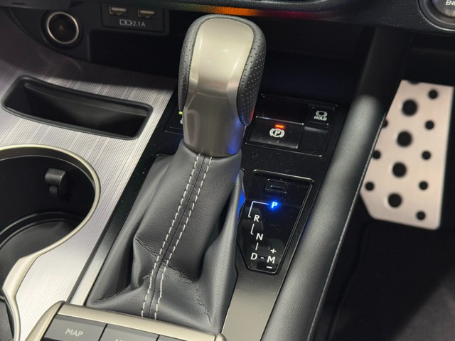 レクサス RX300 F SPORT