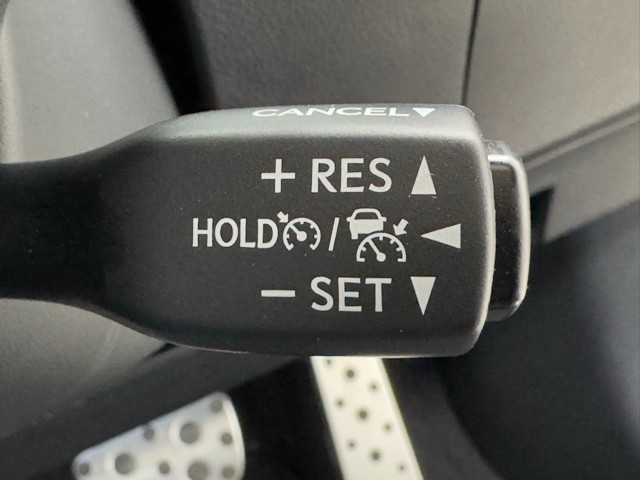 レクサス RX300 F SPORT