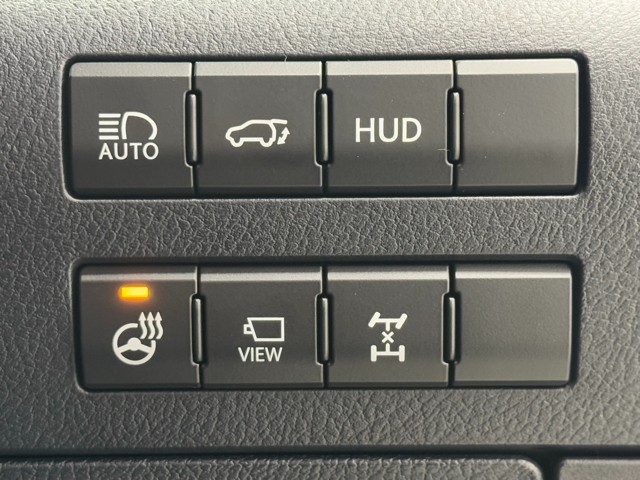 レクサス RX300 F SPORT