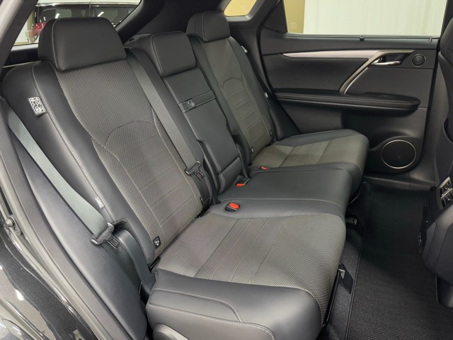 レクサス RX300 F SPORT