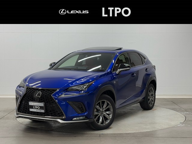 NX300 F SPORT