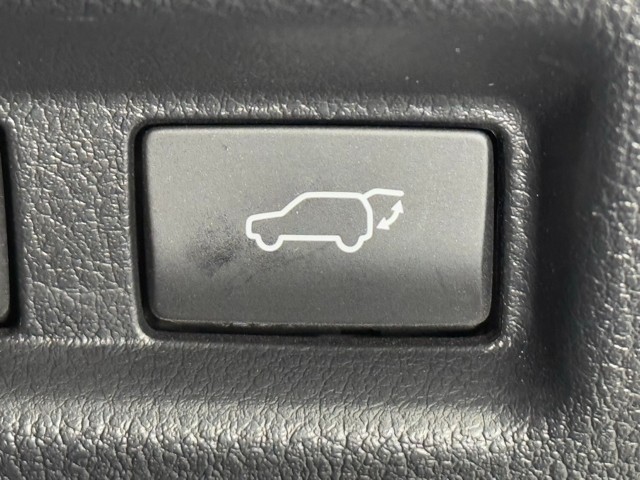 レクサス UX250h F SPORT