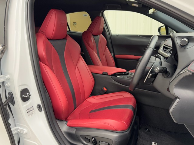 レクサス UX250h F SPORT