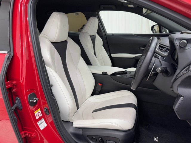 レクサス UX250h F SPORT