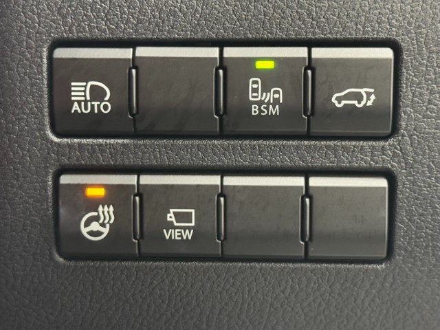 レクサス NX300 F SPORT