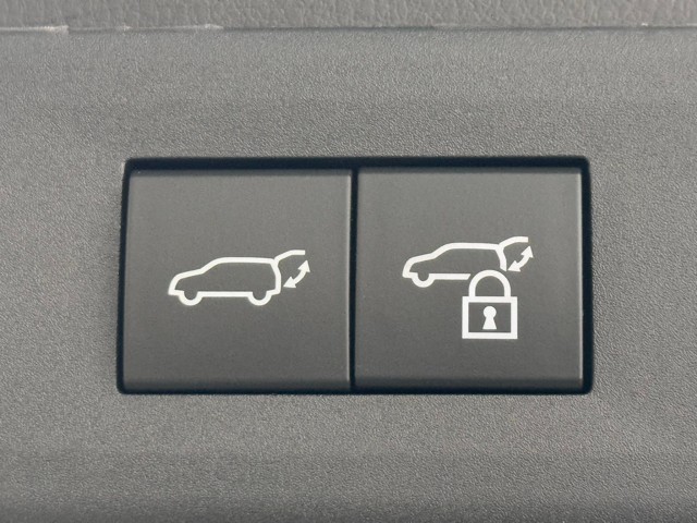 レクサス NX250 バージョンL