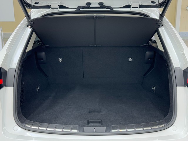 レクサス NX250 バージョンL