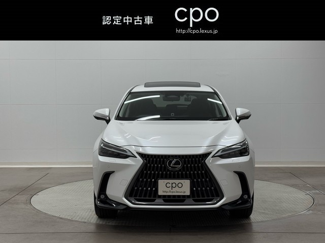 レクサス NX250 バージョンL