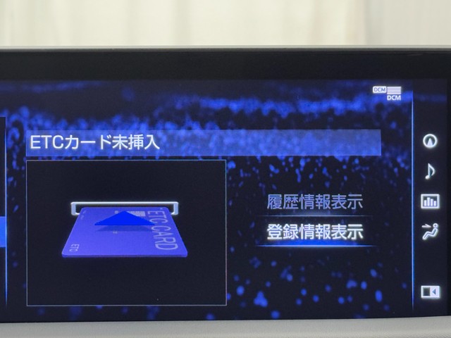 レクサス RX300 Fスポーツ