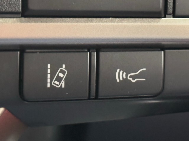 レクサス RX300 Fスポーツ