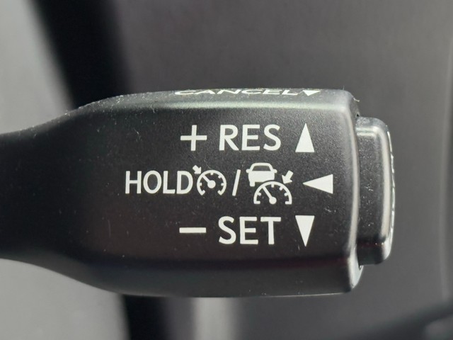 レクサス RX300 Fスポーツ