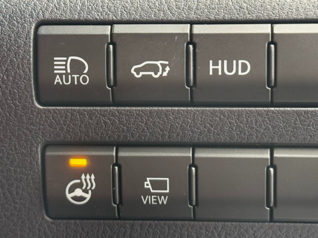 レクサス RX300 Fスポーツ