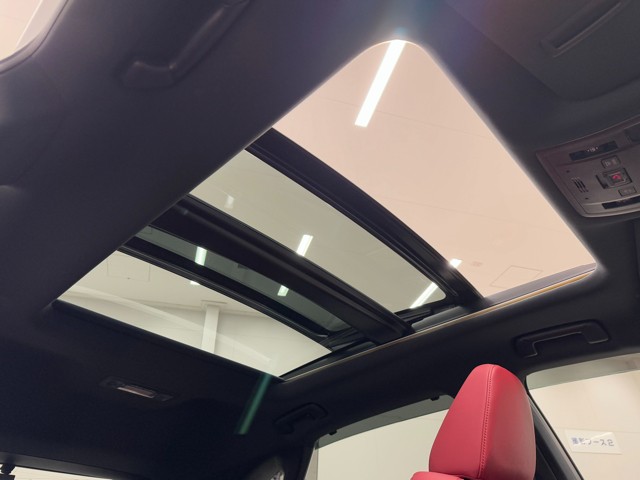 レクサス RX300 Fスポーツ