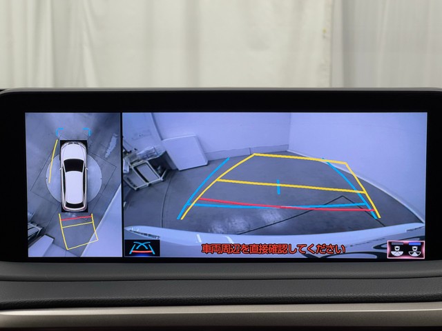 レクサス RX300 Fスポーツ