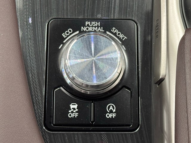 レクサス RX300 ブラックシークエンス