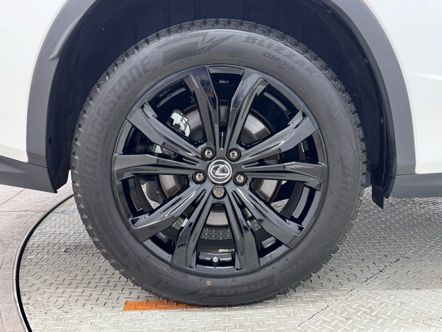 レクサス RX300 ブラックシークエンス