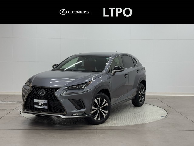 NX300 F SPORT