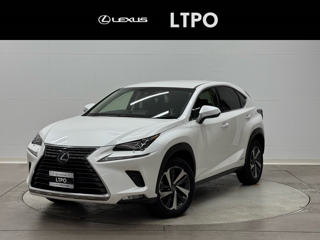 NX300h VER-L