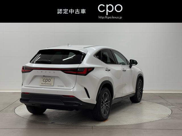 レクサス NX250