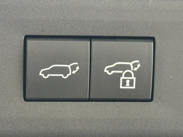 レクサス NX250 VER-L