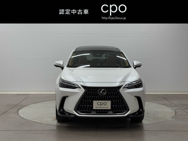 レクサス NX250 VER-L