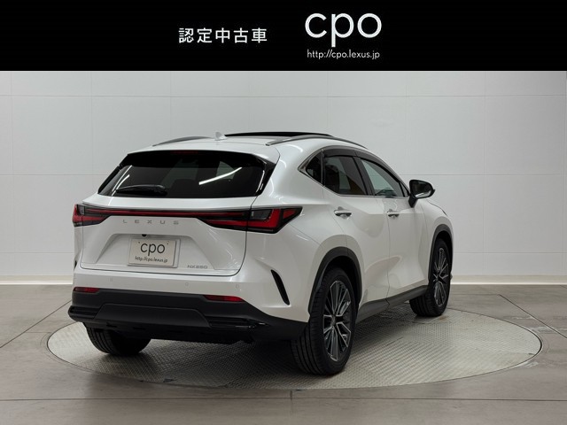 レクサス NX250 VER-L