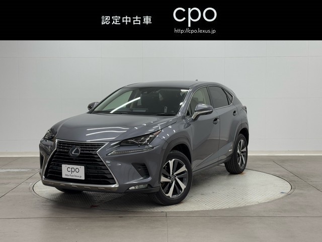 レクサス NX300h I-PKG