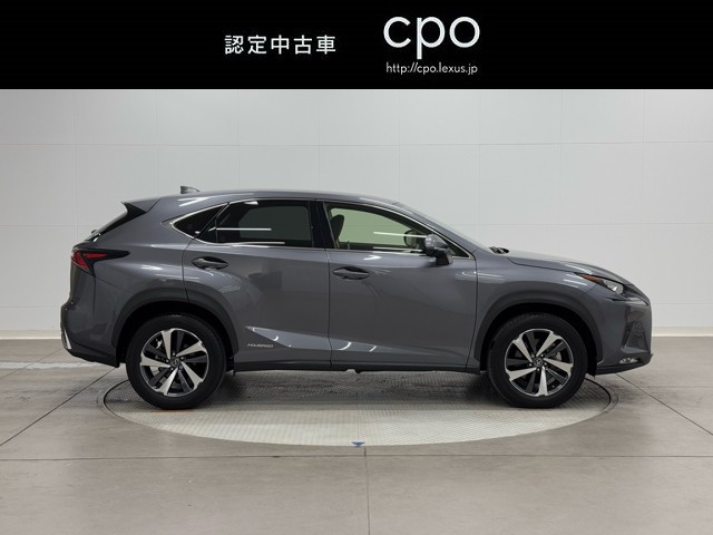 レクサス NX300h I-PKG