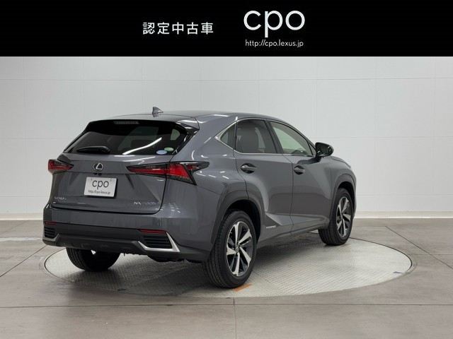 レクサス NX300h I-PKG