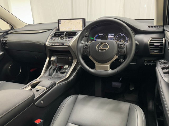 レクサス NX300h I-PKG