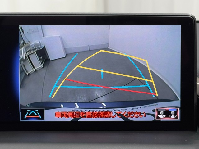 レクサス NX300h I-PKG