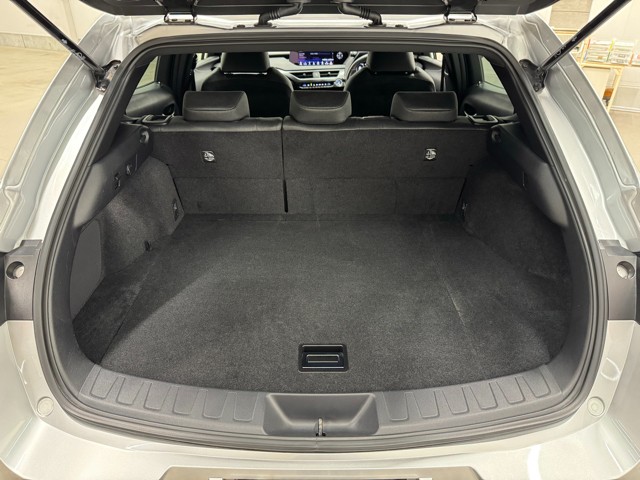 レクサス UX250h