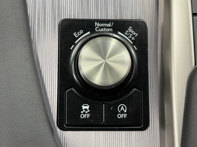 レクサス RX300 Fスポーツ